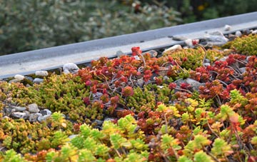 the cost of Lumley Thicks green roof installation