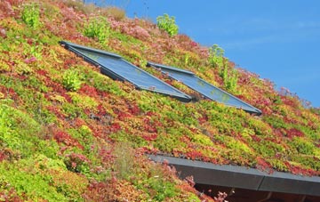 Lumley Thicks living roof systems