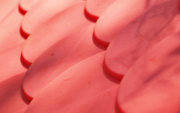 Lumley Thicks plastic roof costs