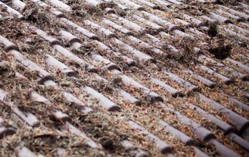 Lumley Thicks roof cleaning companies